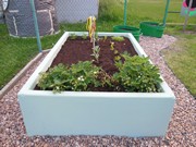 Zahrádka ve školce